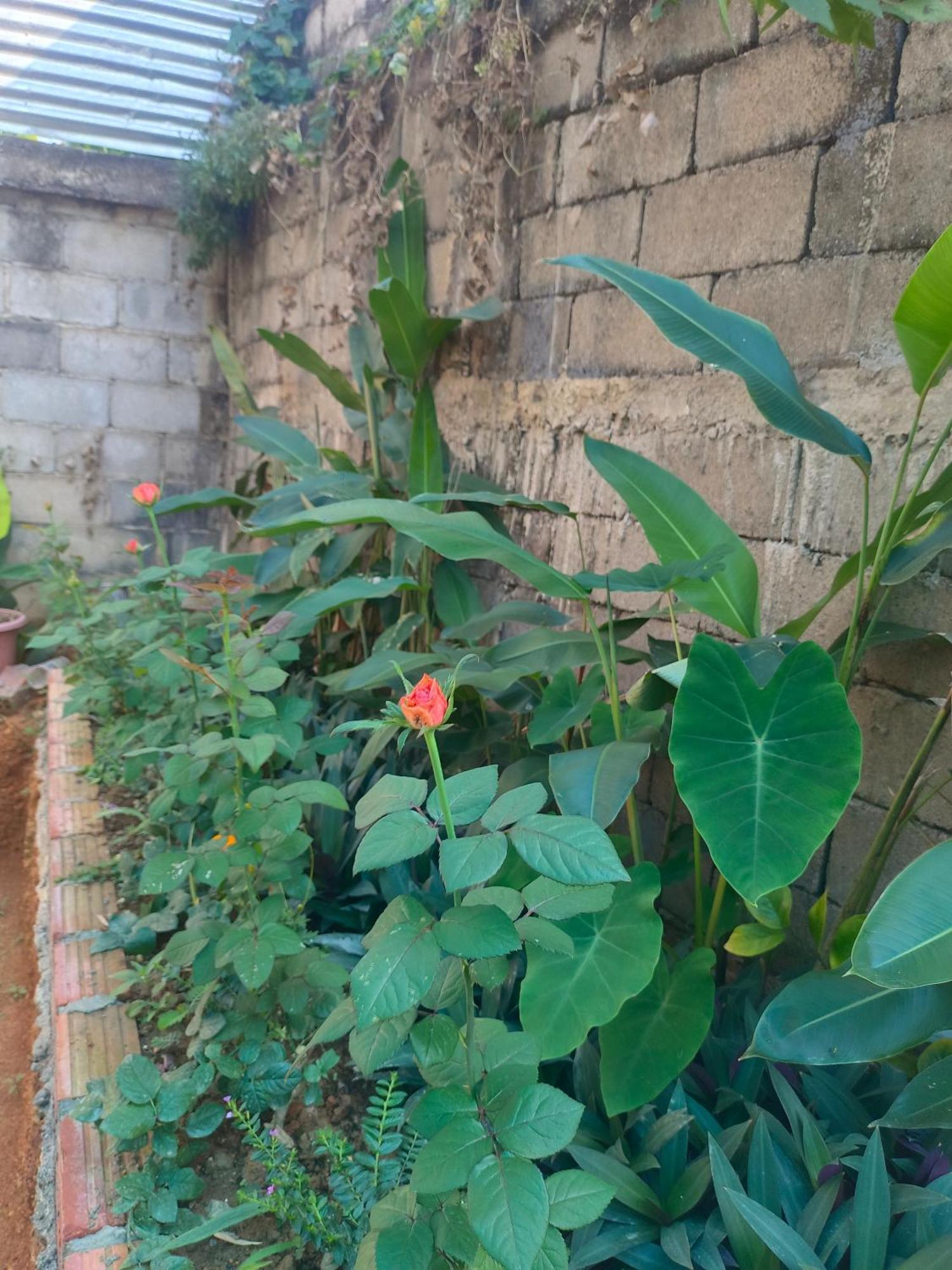Vang Vieng Champa Hotel Εξωτερικό φωτογραφία
