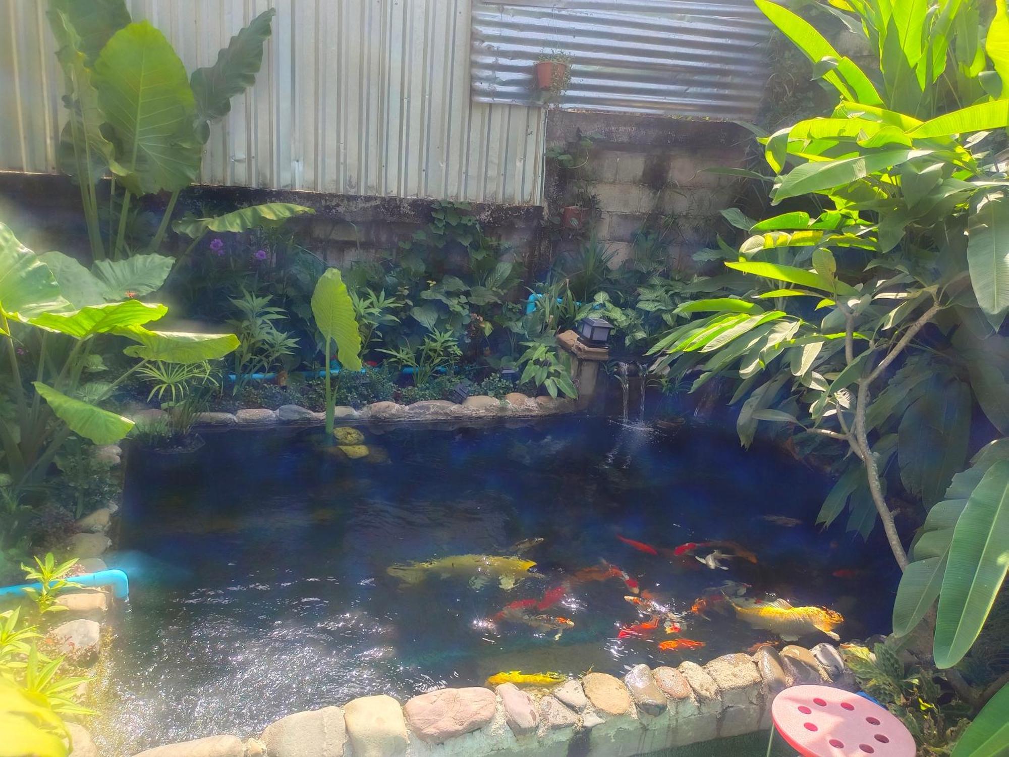 Vang Vieng Champa Hotel Εξωτερικό φωτογραφία